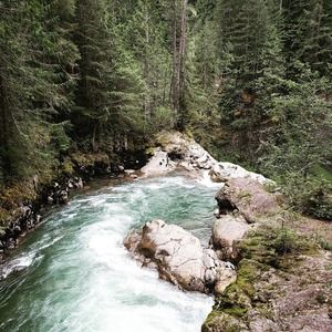 Meet your Posher, Opal